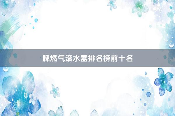 牌燃气滚水器排名榜前十名